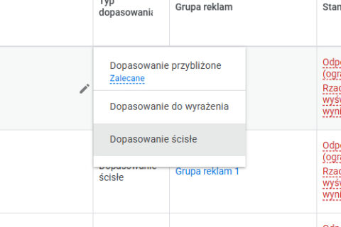 dopasowania słów kluczowych google ads
