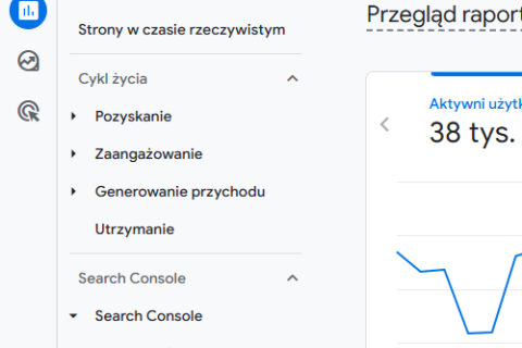google analytics widok na panel