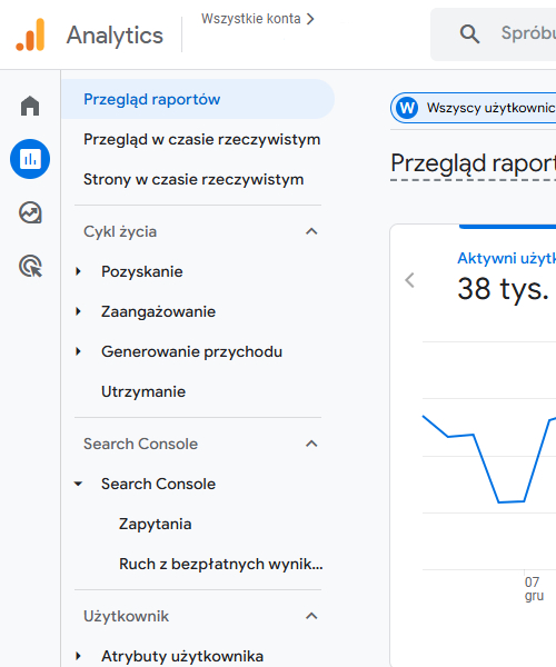 google analytics widok na panel