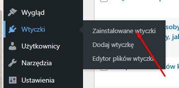 Najczęściej winna jest wtyczka, która ma wypchnąć dane do dataLayer.