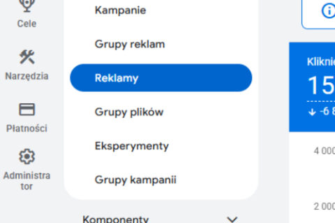 widolk na reklamy w google ads