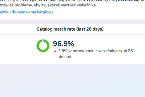 widok statystyk katalogu produktów meta ads